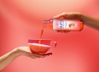 High-Protein Functional Beverages