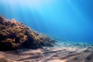 Seawater Desalination Projects Article Thubnail