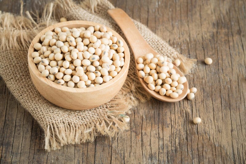 Soybean Supply Chains Article Thubnail