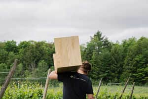 Sustainable Furniture Companies Article Thubnail