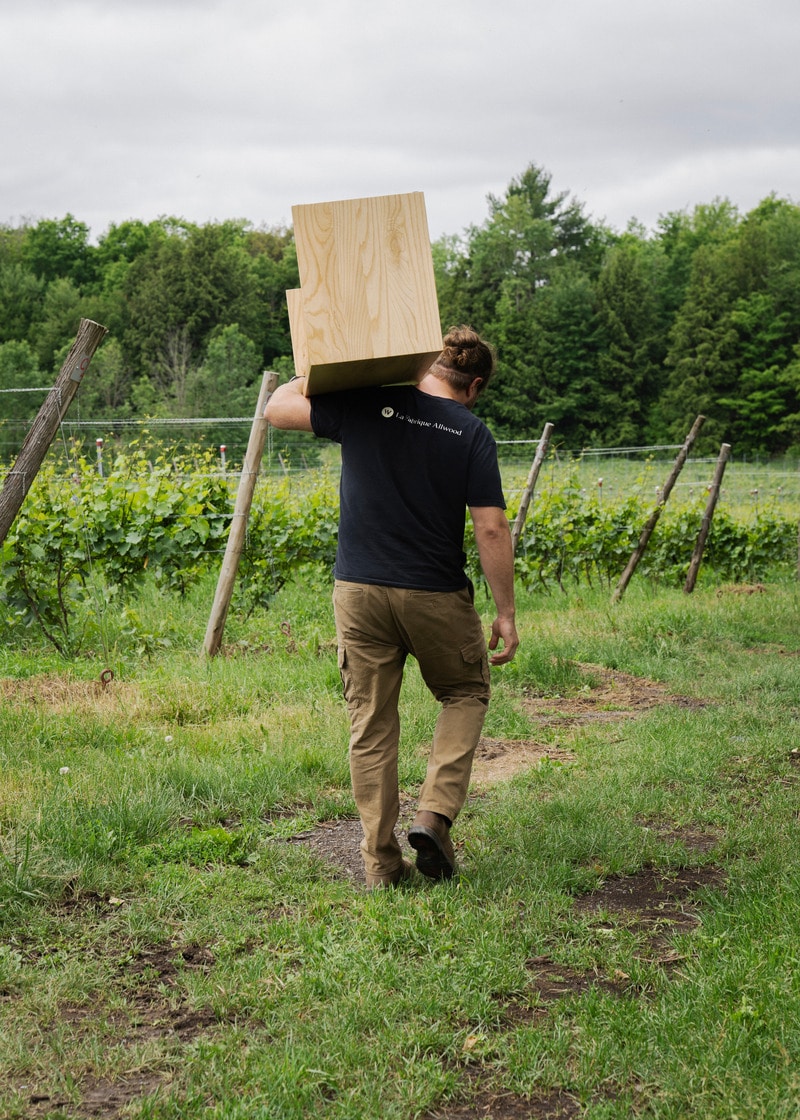 Sustainable Furniture Companies Article Thubnail