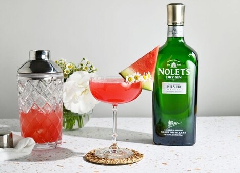 Botanical-Infused Dutch Gins