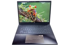 Screen-Equipped Laptop Trackpads