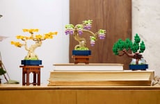 Bonsai Building Block Sets
