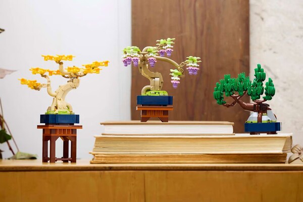 Bonsai Building Block Sets