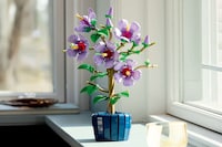 Bonsai Building Block Sets Image 2