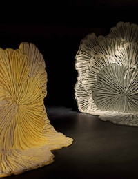 Biophilic-Inspired Rug Collections Image 2