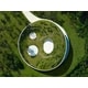 Green Roof-Topped Circular Villas Image 2