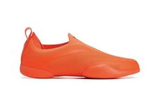 Collaborative Sleek Sneaker Model