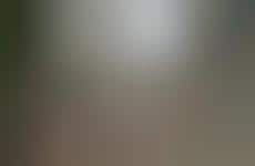 Pointy Distillery Designs