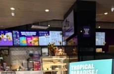 Tropical Bubble Tea Collections