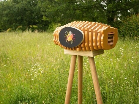 Science-Backed Wooden Installations