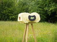 Science-Backed Wooden Installations Image 2