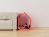 3d-Printed Modern Dog Houses Image 3