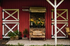 Extended Immersive Farm Experiences