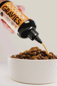 Dog-Friendly Squeezable Gravies Image 1