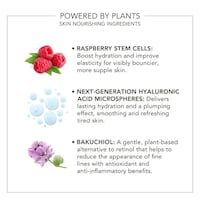 Hybrid Makeup Formulas Image 3