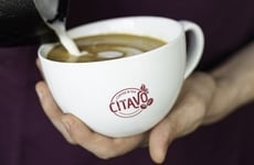 Premium Foodservice Hot Beverages