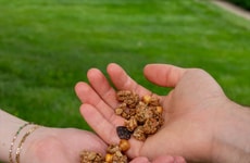 Crunchy Chickpea Granolas