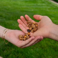 Crunchy Chickpea Granolas