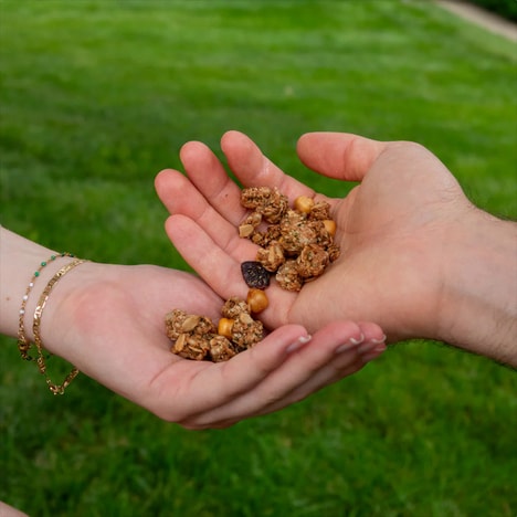 Crunchy Chickpea Granolas