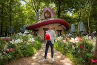 Animated Film Experiences