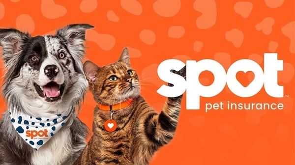 Retailer Pet Insurance Programs