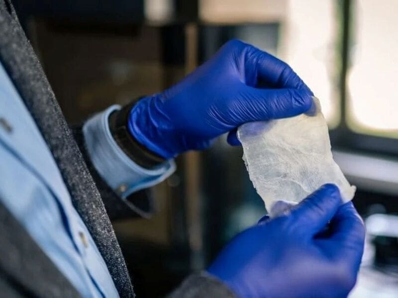 Bacterial Cellulose Materials Article Thubnail
