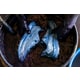 Artistic Naturally Dyed Sneakers Image 3
