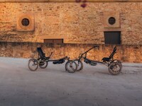 Electric Three-Wheeled Bicycles
