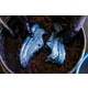 Naturally Dyed Collaborative Shoes Image 2