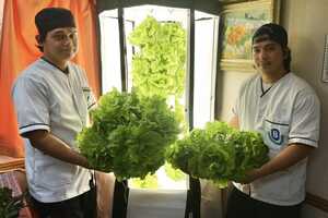 Fleet-Based Hydroponic Produce Initiatives Article Thubnail