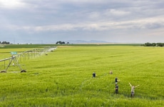 Regenerative Agriculture-Focused Partnerships