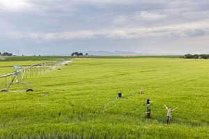 Regenerative Agriculture-Focused Partnerships Article Thubnail