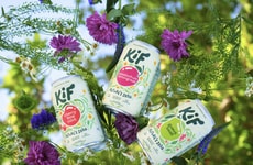 Naturally Fermented Kefir Sodas