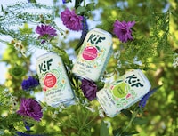 Naturally Fermented Kefir Sodas Image 1