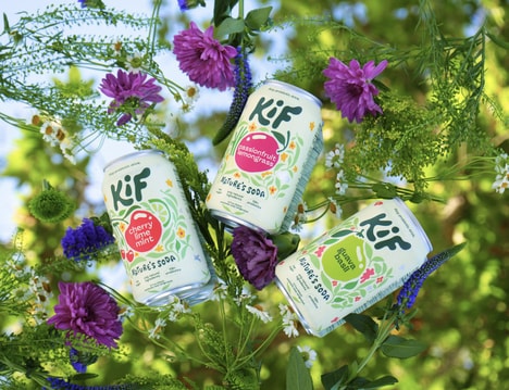 Naturally Fermented Kefir Sodas