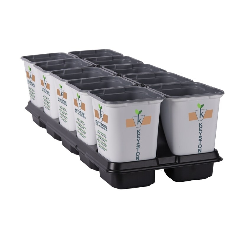 Eco-Conscious Horticulture Systems Article Thubnail