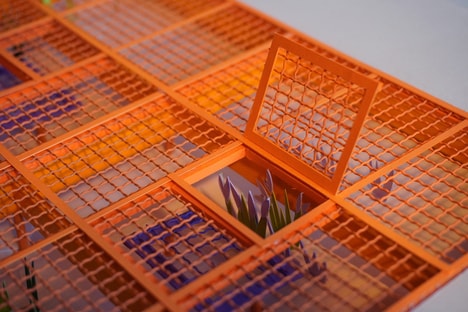 Landscaping Border Exploration Proojects