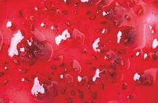 Plant-Based Low-Acyl Gellan Gums