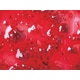 Plant-Based Low-Acyl Gellan Gums Image 1
