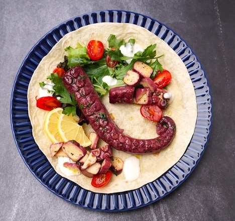 Textural Octopus Meat Alternatives