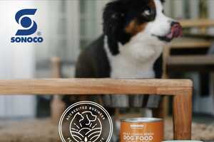 Sustainable Packaging Certifications Article Thubnail