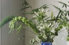 Sculptural Porcelain Modern Capsules