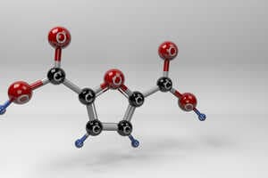 Plant-Based Monomer Solutions Article Thubnail