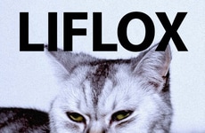 Fermented Tomato Cleansers