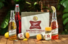 Boozy Adult Push-Pops