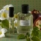 Evoking Seasonal Scents Image 2