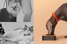Modern Luxury Pet Accessories