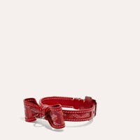 Modern Luxury Pet Accessories Image 2